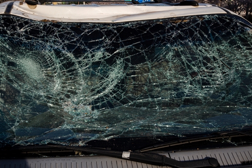 하이모터스(평택) PC 이미지 3242766