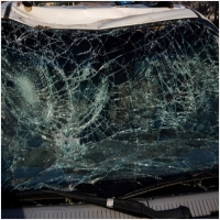 하이모터스(평택) PC 갤러리 19