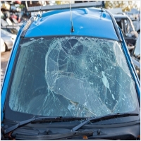 하이모터스(평택) PC 갤러리 14